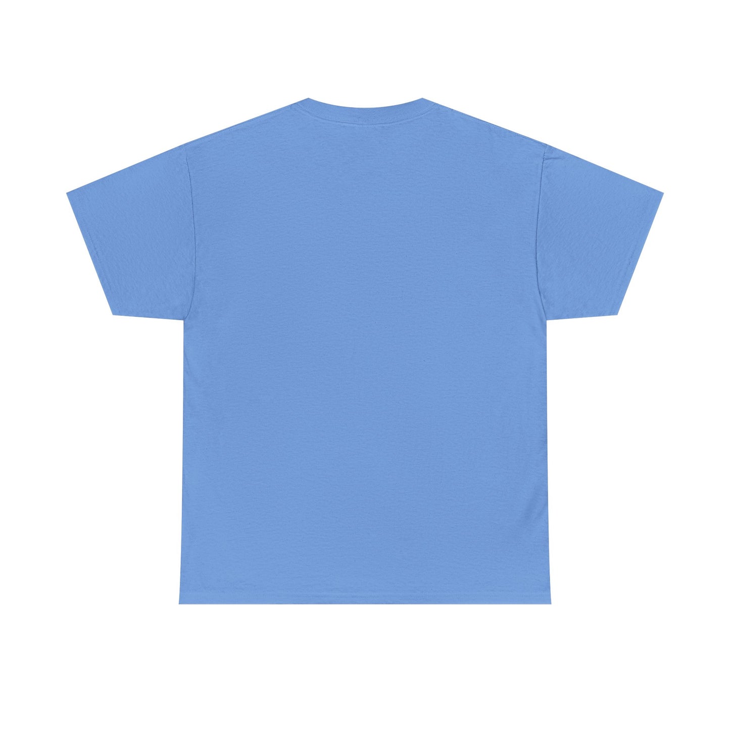 Newford Sanctuary City T-shirt