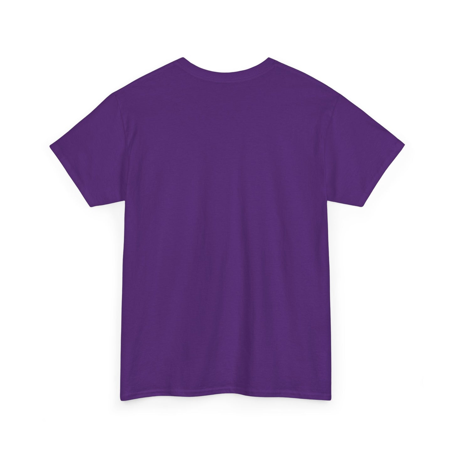 Newford Sanctuary City T-shirt