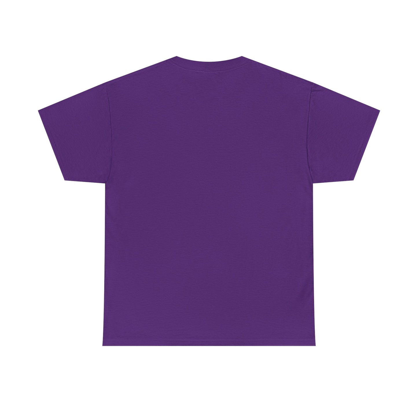 Newford Sanctuary City T-shirt