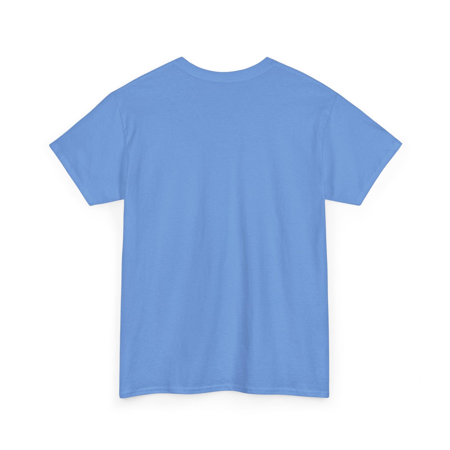 Newford Sanctuary City T-shirt