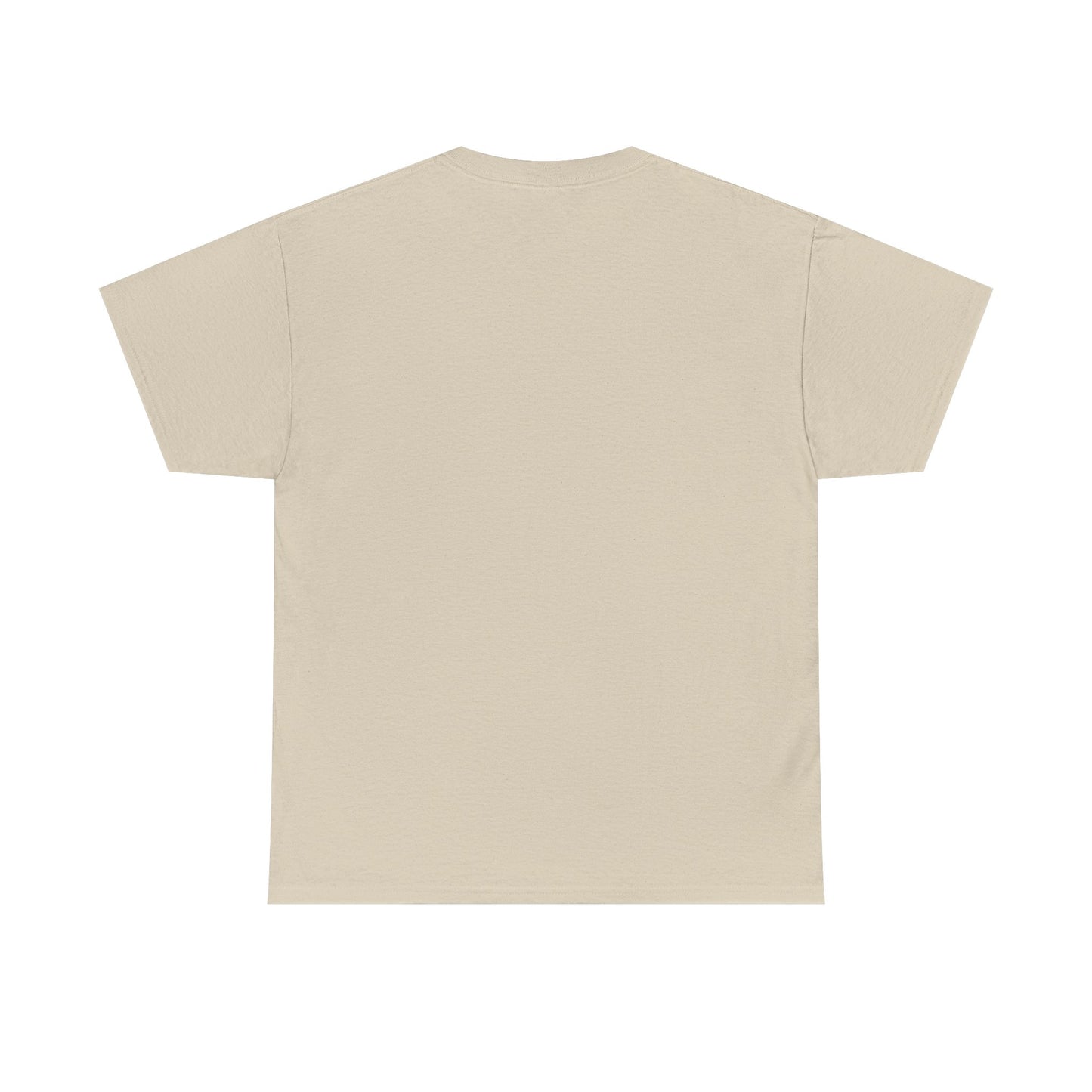 Newford Sanctuary City T-shirt