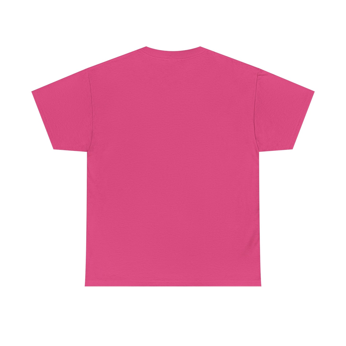 "Based on the novel by Charles de Lint" T-shirt