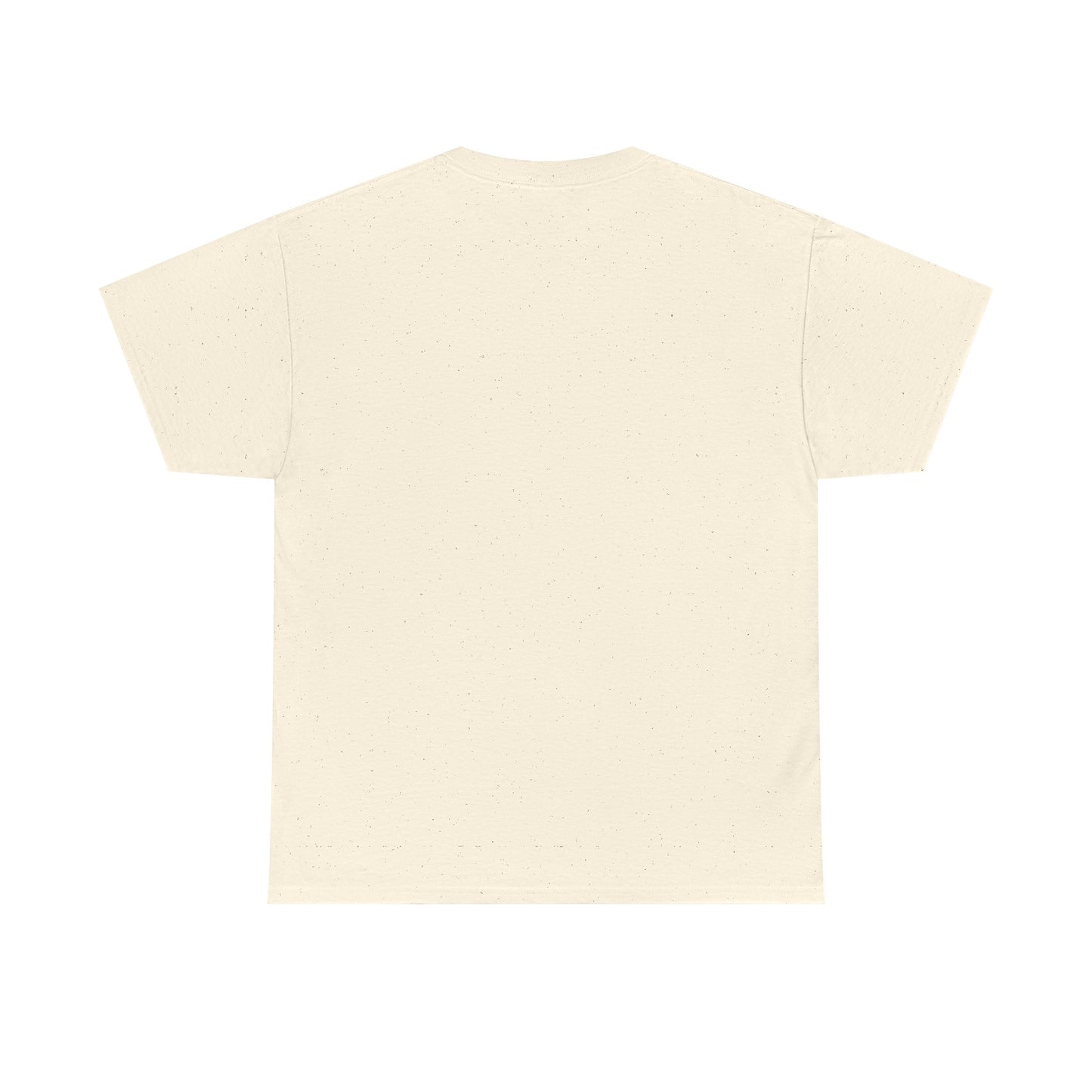 "Based on the novel by Charles de Lint" T-shirt